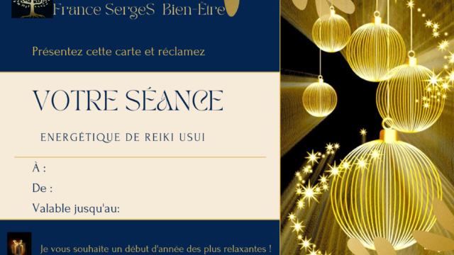 Cheque-cadeau-de-Noel-Classe-et-Elegant-Commerce-Bleu-Nuit-Or3-4